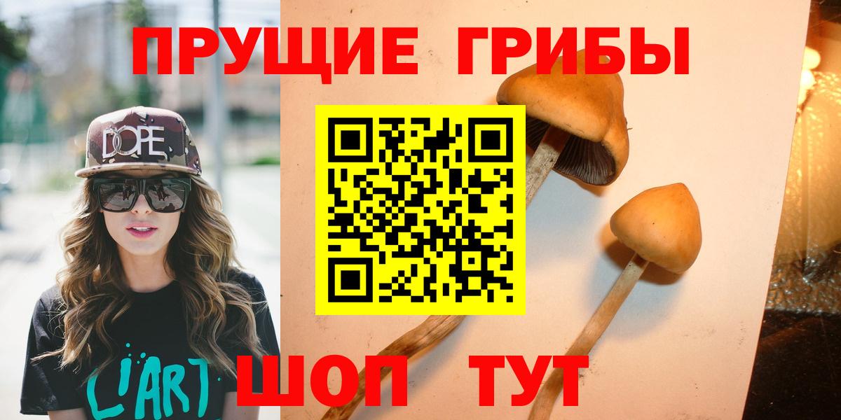 Псилоцибиновые грибы Psilocybe Корсаков